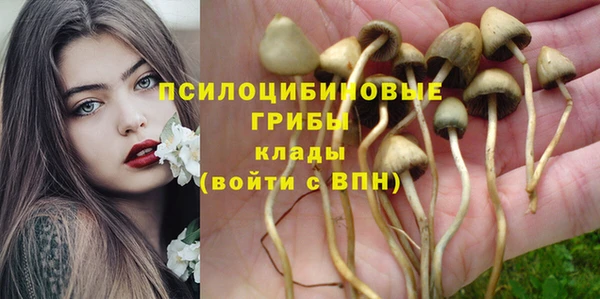 шишки Остров