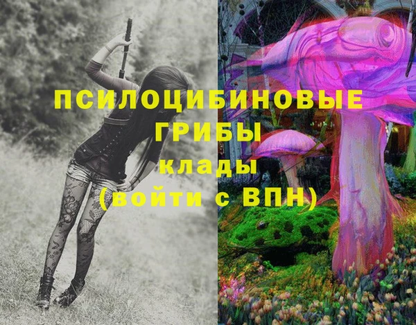 spice Алексеевка