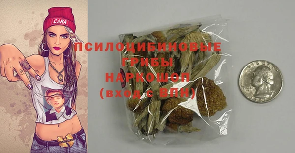 spice Алексеевка